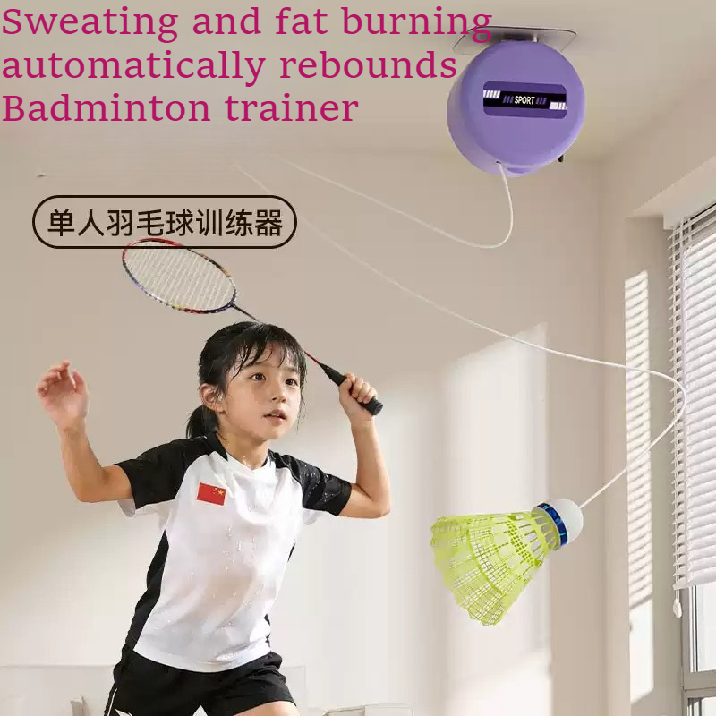 Badminton House - Badminton single play training device, self-playing