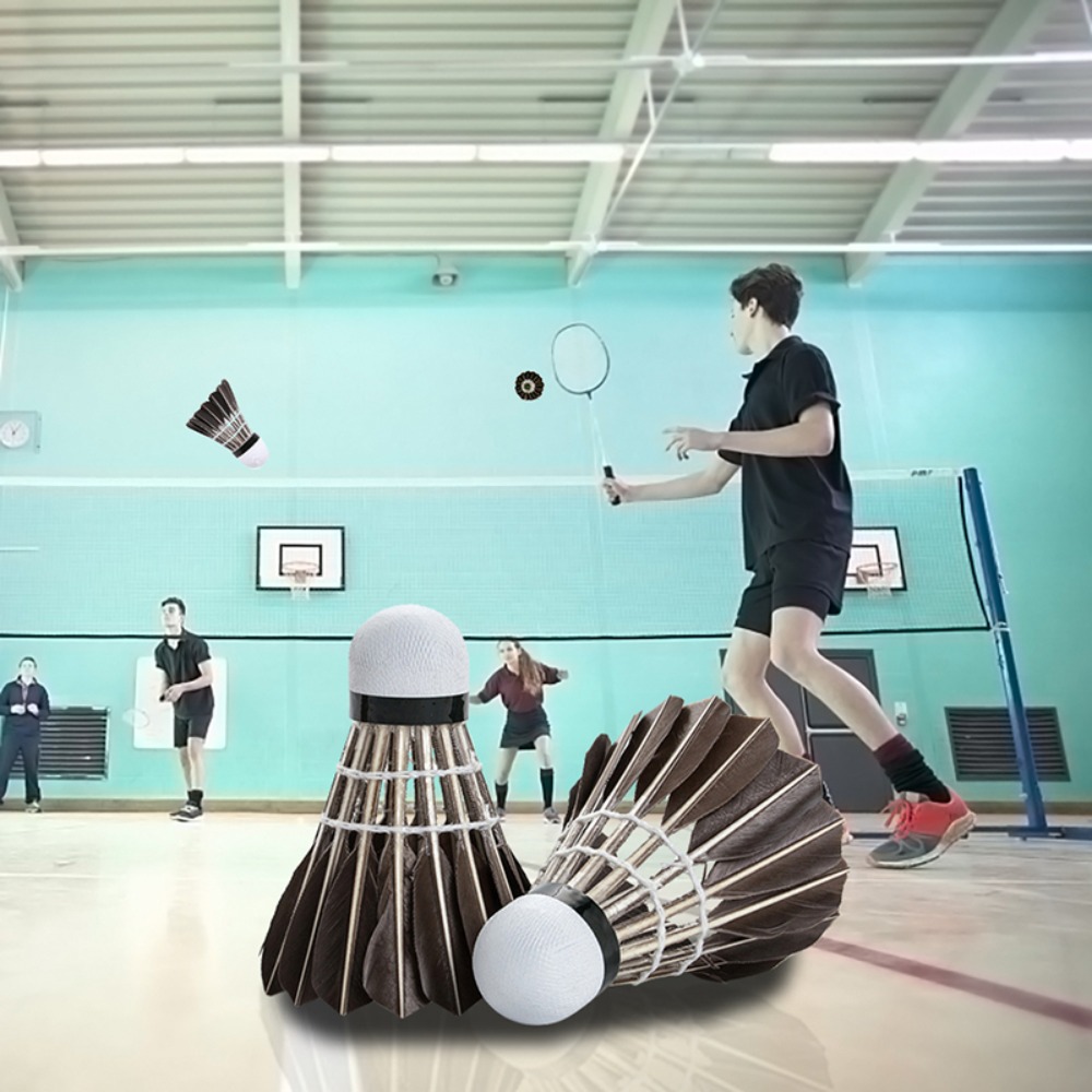 3/6/12Pcs Household Sport Trai - огляд і ціна Badminton House