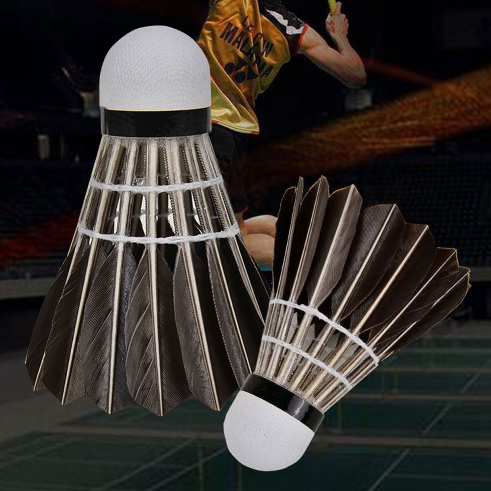 3/6/12Pcs Household Sport Trai - огляд і ціна Badminton House